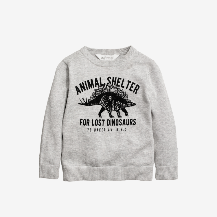 Picture of Dinosaur T-Shirt